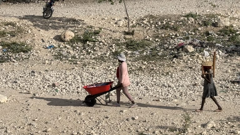 Dos personas caminando, una con una carretilla roja, en Pedernales