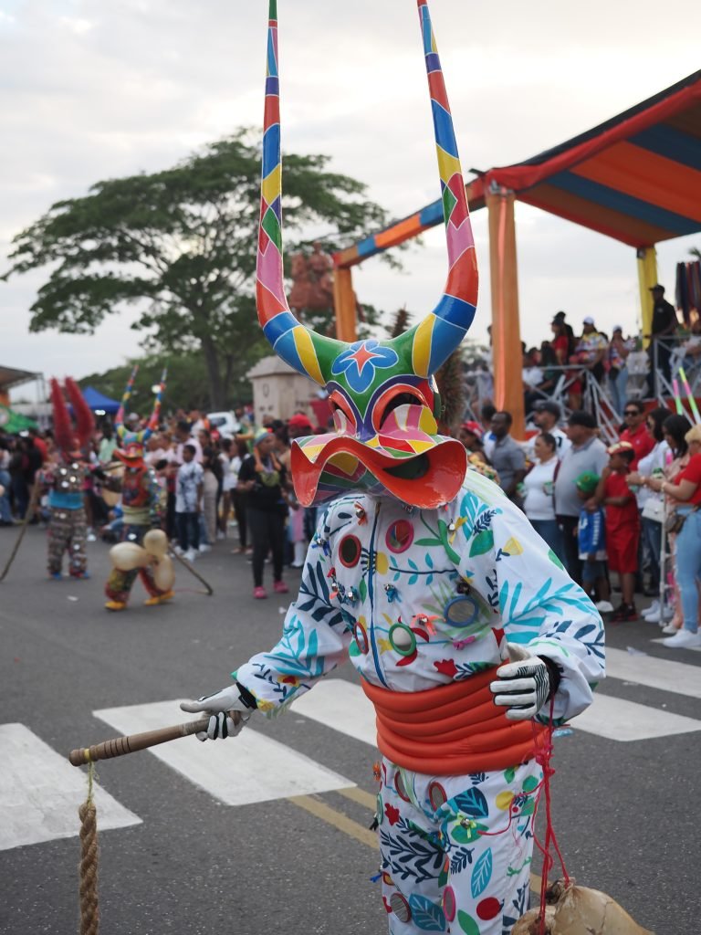 Lechón entre el público del Carnaval de Santiago