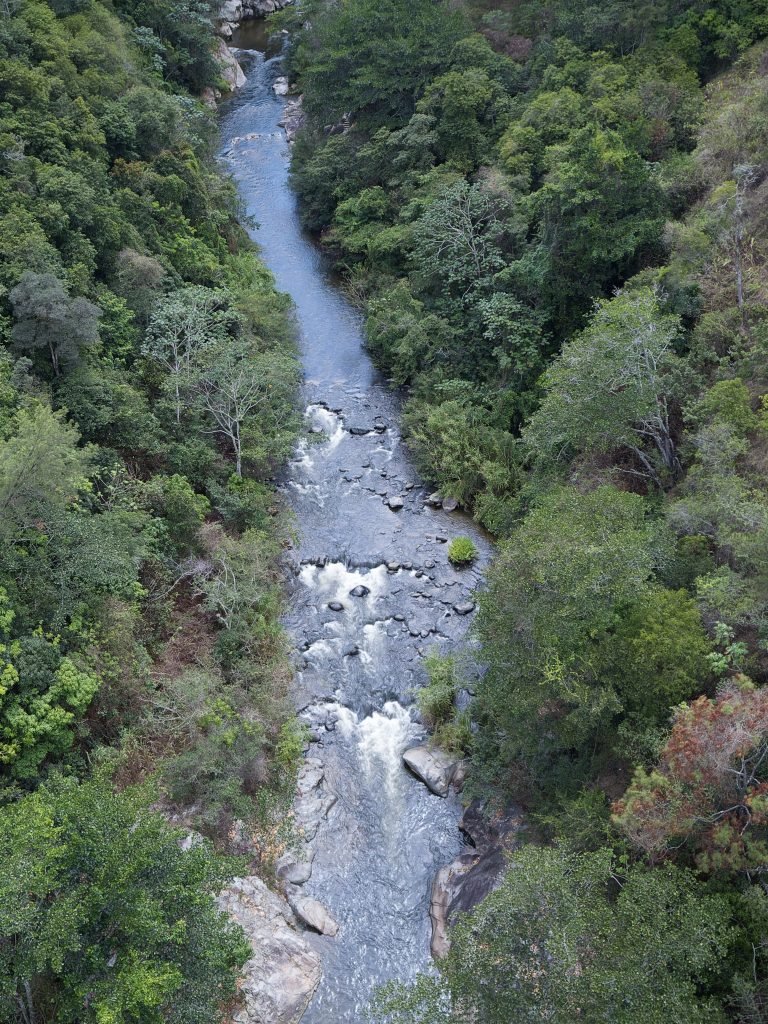 Río entre el bosque en Sajoma